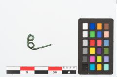 Foto von Bronzeschleifenbügelfibel (NHMW-PRAE-025445)